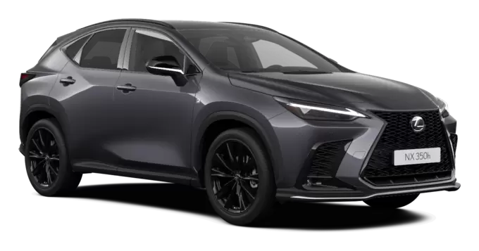 Lexus Nx Hybrid Business 4wd  Noleggio Lungo Termine Mobility Rent