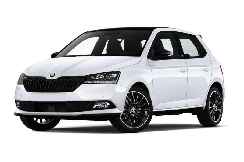 Skoda Fabia 1.0 Mpi Evo 59kw Noleggio Lungo Termine Mobility Rent