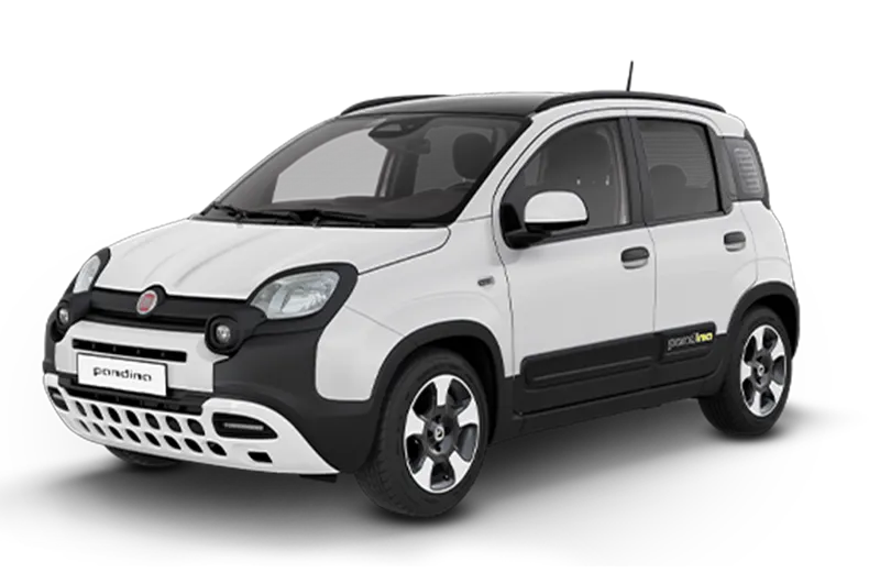 Fiat Pandina 1.0 Firefly 65cv S&s 6m Hybrid Icon Noleggio Lungo Termine Mobility Rent