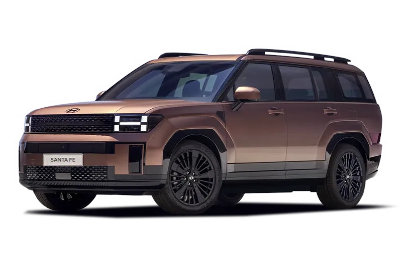 Hyundai Santa Fe 1.6 T-gdi Hev 2wd A/t 7posti Business Noleggio Lungo Termine Mobility Rent