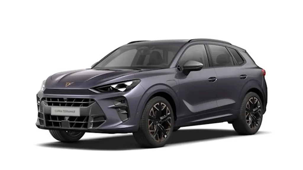 Cupra Terramar 1.5 Hybrid Dsg Business  Noleggio Lungo Termine Mobility Rent
